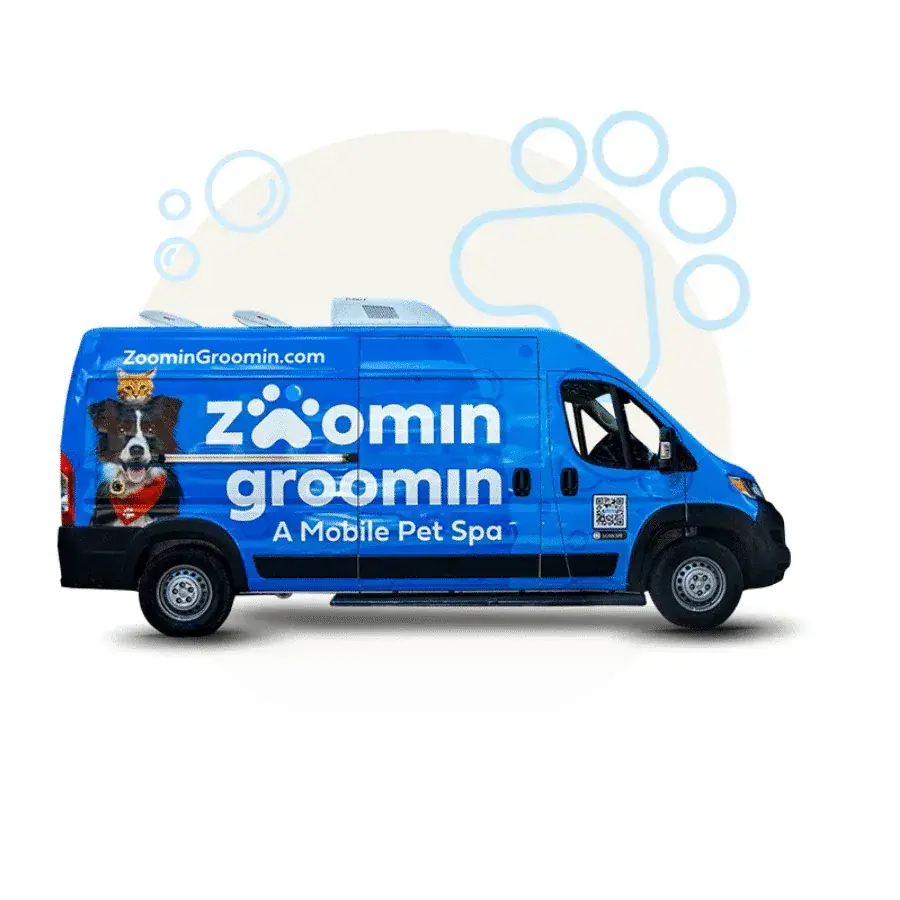 Zoomin Groomin branded mobile pet spa van &mdash; a moving billboard for owners